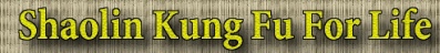 Stop Stretching for Kung Fu
